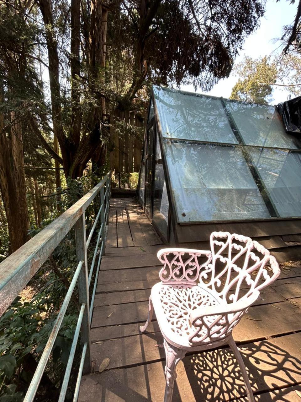 Woodhouse Hotel Ooty Ngoại thất bức ảnh