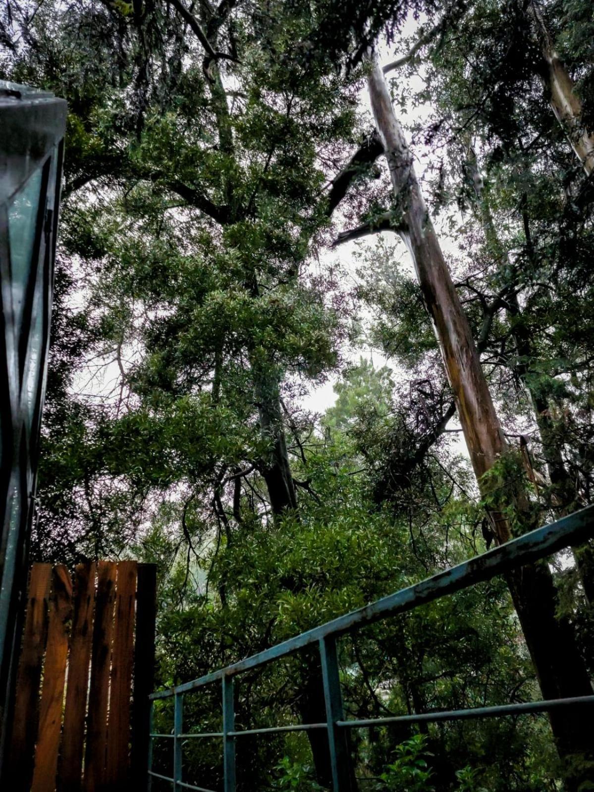 Woodhouse Hotel Ooty Ngoại thất bức ảnh